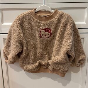 Zara Tan Sherpa sweater
